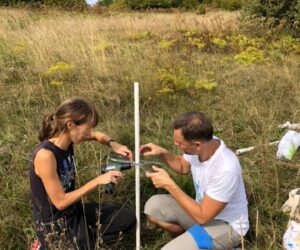 Provodi se istraživanje oprašivača