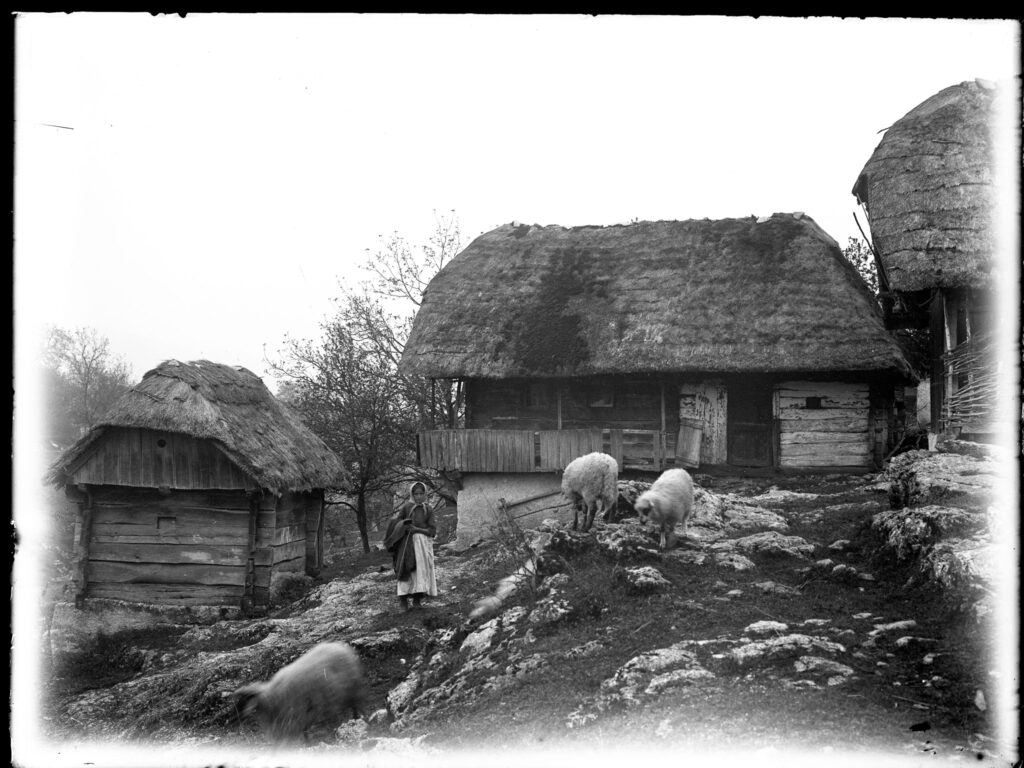 tradicijsko graditeljstvo